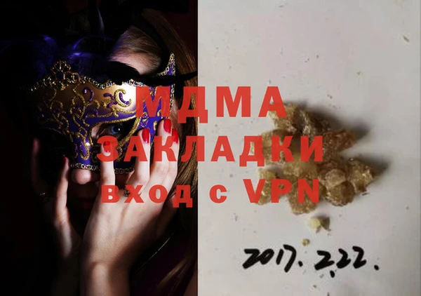 гидра Елизово
