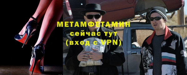 трава Ельня