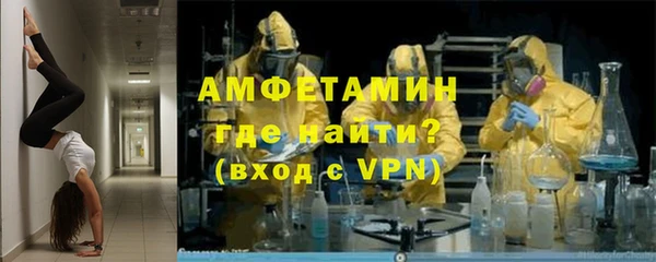 трава Ельня