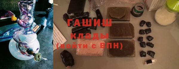 гидра Елизово