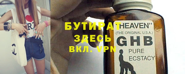 гидра Елизово