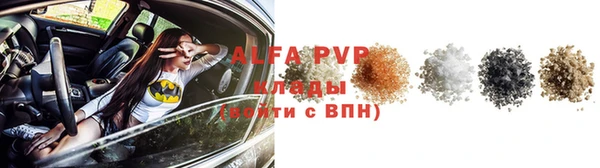 трава Ельня