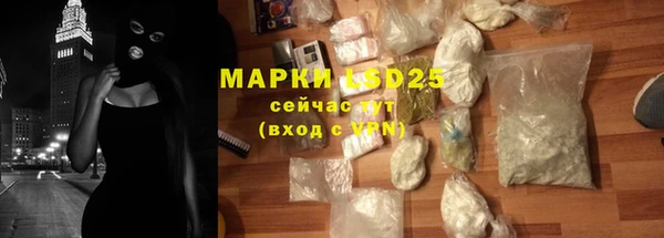 гидра Елизово