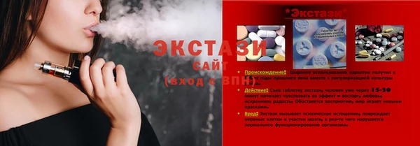 гидра Елизово