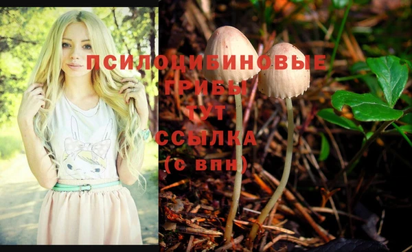 трава Ельня