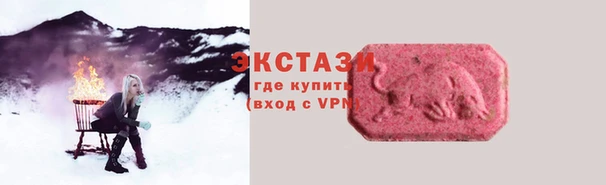 гидра Елизово