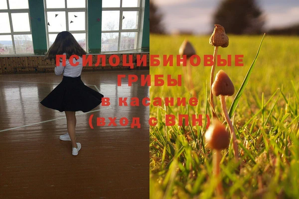 мяу мяу кристалл Елабуга