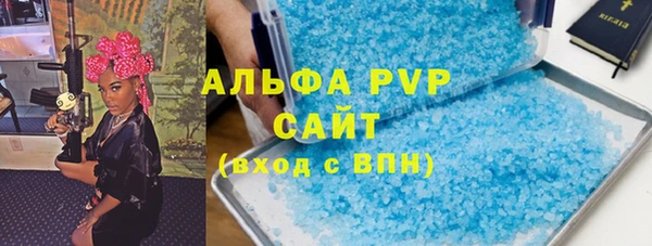 гидра Елизово