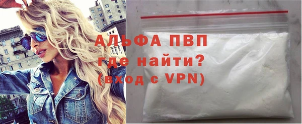 гидра Елизово