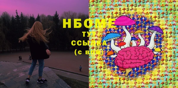 гидра Елизово