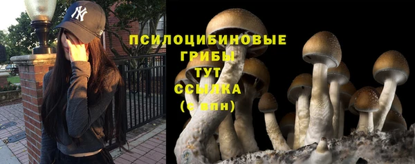 спайс Заводоуковск