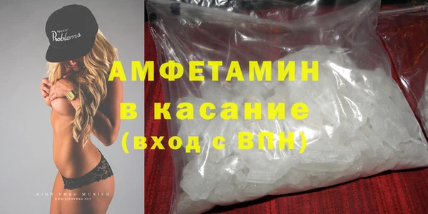 трава Ельня
