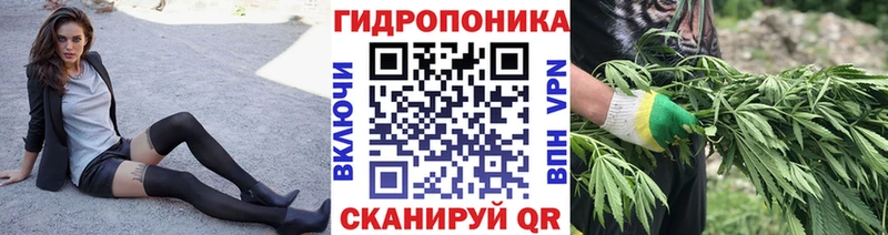 МАРИХУАНА ГИДРОПОН Гай